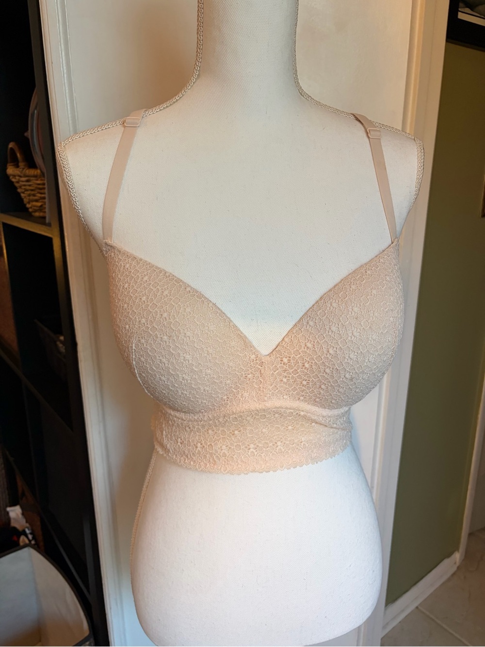 Victoria's Secret Lace Longline Bra in Blush Nude
